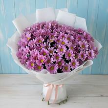 Букет цветов из:  Хризантемы в Краснофарфорном