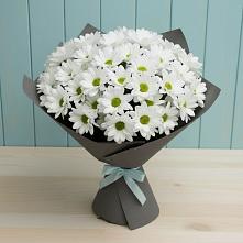 Букет цветов из:  Хризантемы в Краснофарфорном