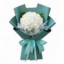 Букет цветов из:  Гортензия в Краснофарфорном